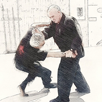 Feldenkrais and the Martial Arts